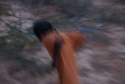 Psicotic