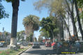 JUNGLA DE CONCRETO