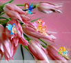 TULIPANES   Y  HADAS ,TEMA  INFANTIL