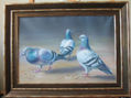 palomas
