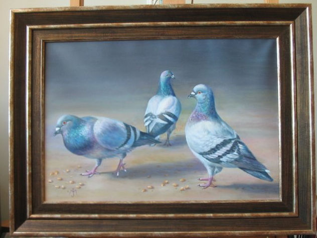 palomas