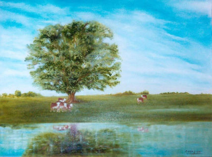 Campo argentino