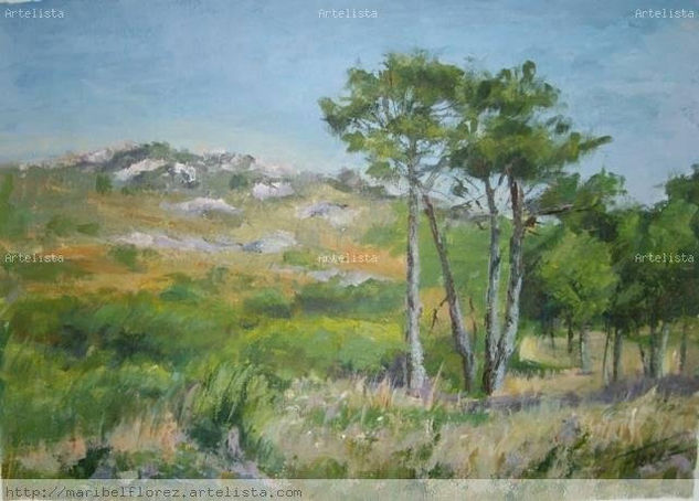 Pinos Oil Canvas Landscaping