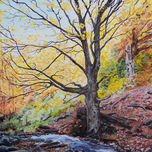 Paisaje thumbnail 1