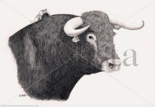 Toro