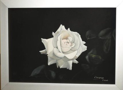 Rosa l