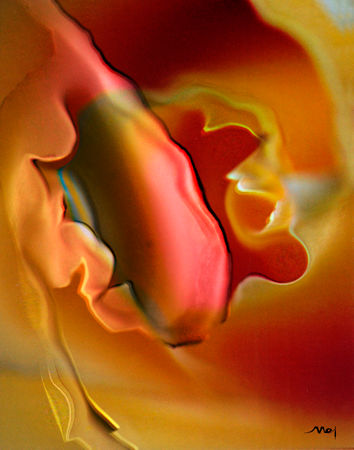 ROSA 1