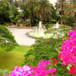 Islas Canarias thumbnail 1