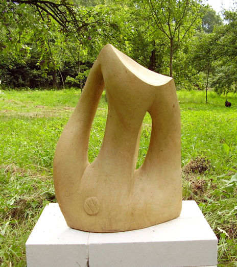 Torso