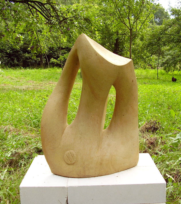 torso