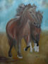 caballos galopando