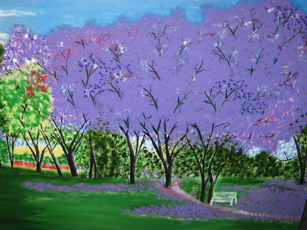 Variedad de colores en el parque.