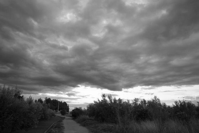 TORMENTA NEGRA 