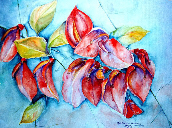 Flor de ceibo Watercolour Paper