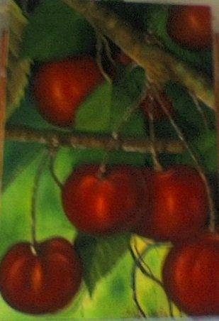 CEREZAS Oil Canvas Still Life Paintings