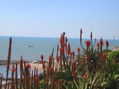 vista al mar