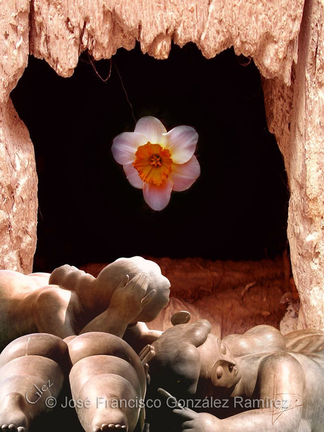 FLOR DE AMOR (serie Eros)