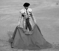 Toreros