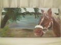 caballo en el rio