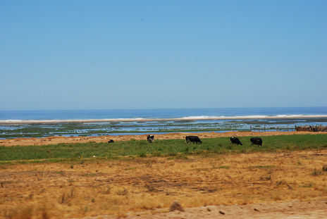 Peru