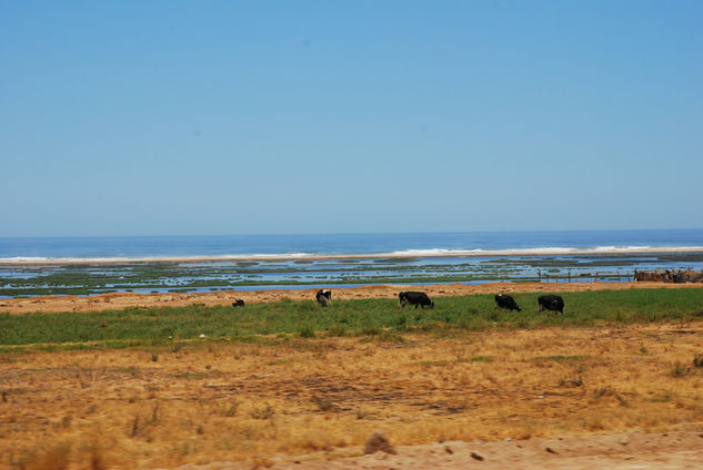 peru 