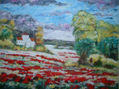 Amapolas