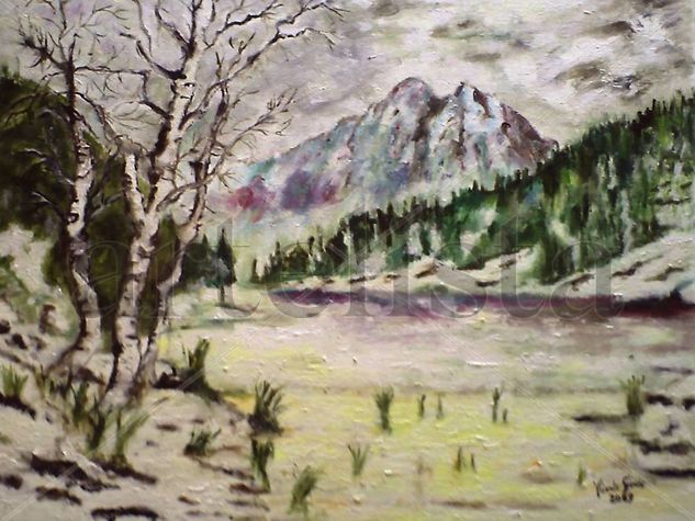 Nevada Oil Canvas Landscaping