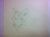 El lobo