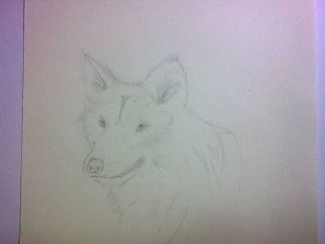 El lobo 