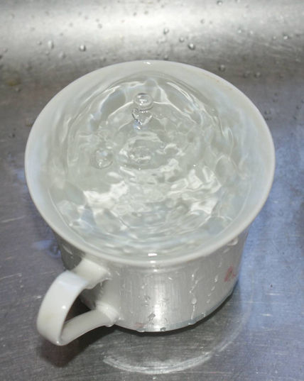 Gota