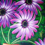 FLORES thumbnail 2