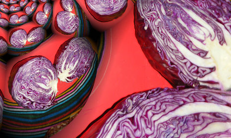 Alimentos biodinamicos