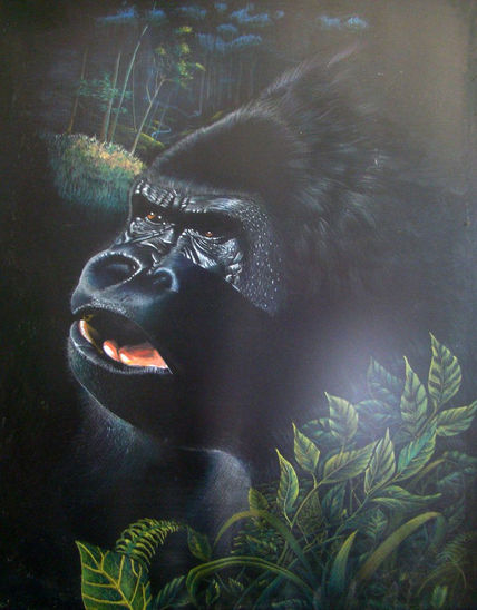 Gorila