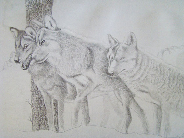 Lobos