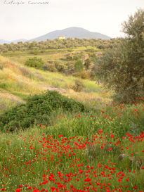 Paisaje cerca de mi...