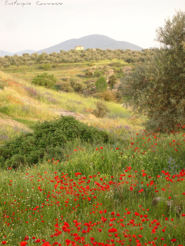 Paisaje cerca de mi casa
