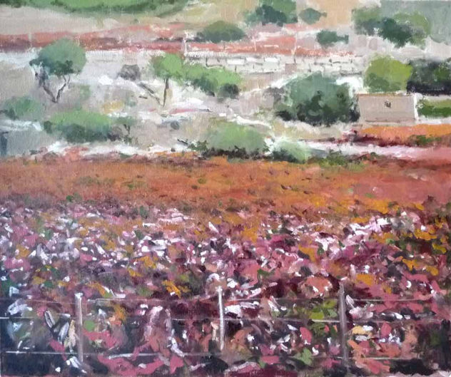 VIÑEDO EN OTOÑO