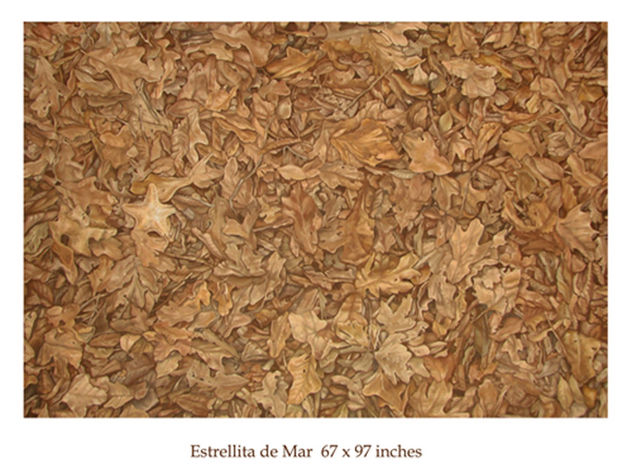estrellita de mar