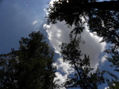 VIENDO AL CIELO
