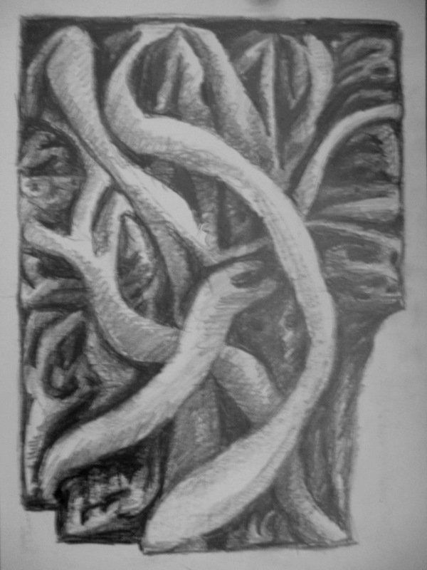 MEMORIAL DE LA LUCHA EVOLUTIVA XIII