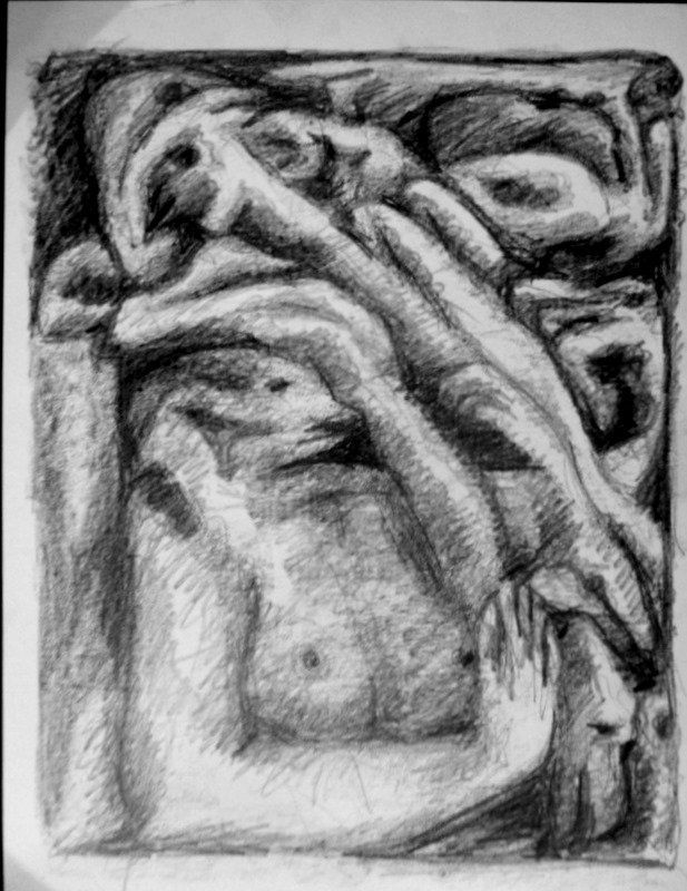 HOMINIZACION I