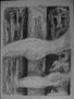 HOMINIZACION III