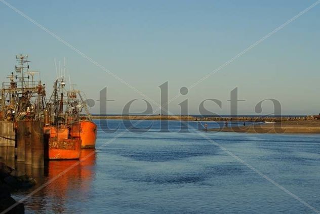 Flota amarilla