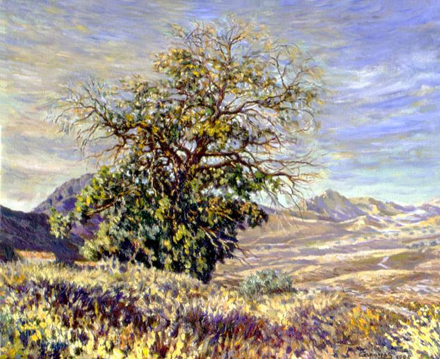 Árbol semi-seco - Águilas Oil