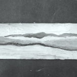 TRIBUTO A PIERRE TEILHARD DE CHARDIN thumbnail 2