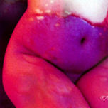 Cuerpos de-velados thumbnail 2