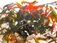 Pintura Asfáltica Y Acrílico  IX