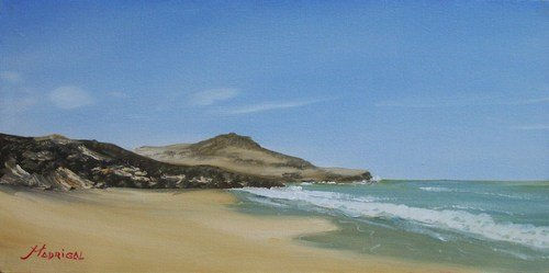 Playa de los tiburones Oil Canvas Landscaping