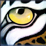 FELINOS thumbnail 1