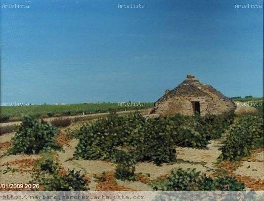 viñedos de tomelloso con bombo Óleo Lienzo Paisaje